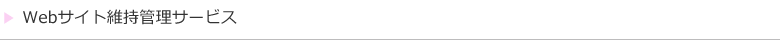 Webサイト維持管理サービス